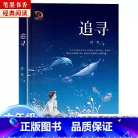 《追寻》-长江少年儿童出版社 [正版]阅美湖湘笔墨书香经典阅读六年级逆风飞翔中国轨道号追寻少年与海雨季的阳光半条棉被刘兴