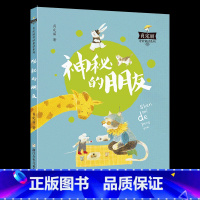 《肖定丽奇妙童话系列:神秘的朋友》浙江少年儿童出版社 [正版]山西阳泉市整本书阅读活动一年级课外笔墨书香经典阅读 亲爱的