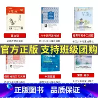 七年级必读全套6本 [正版]2023广东朝阳读书活动笔墨书香经典阅读课外全套一二三四五六年级桦皮船了不起的罗恩母亲的味道