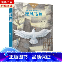 《逆风飞翔》-湖南少年儿童出版社 [正版]逆风飞翔湖南少年儿童出版社叶梦2023阅美湖湘笔墨书香经典阅读六年级上下册全套