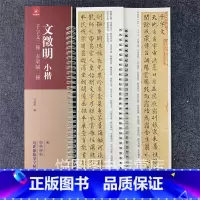 [正版]文徵明小楷 千字文三种 赤壁赋二种 经典碑帖近距离临帖摹字练习字卡 弘蕴轩编 文征明楷书碑帖 毛笔书法字帖学生成