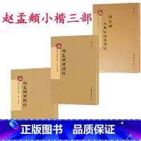 [正版]赵孟頫小楷道德经+大乘妙法莲华经共3本 赵孟俯楷书字帖 毛笔书法字帖 附释文 江苏凤凰美术出版社
