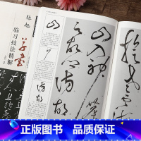 [正版]张旭草书临习技法精解 简体注释毛笔草书初学字帖集张旭古诗四帖草书李青莲序三帖软笔草体字帖 书法字帖