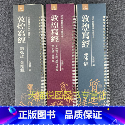 共3本 金+兜沙+太极真人问功德行业经辨亡论王勃集 [正版]敦煌写经妙法莲花经兜沙经大般涅槃经 近距离临摹字帖练字卡原大