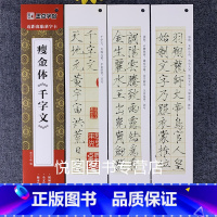 赵佶瘦金体《千字文》 [正版]墨点近距离临摹字卡小楷灵飞经墨迹版赵孟俯小楷道德经汲黯传文征明落花诗千字文草堂十志琴赋初学