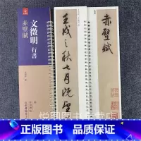 [正版]文徵明行书赤壁赋 经典碑帖近距离临摹卡 弘蕴轩编 文征明行书碑帖 近距离练习字卡 毛笔书法字帖学生成人临帖练字书