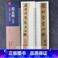 [正版]赵孟頫行书归去来辞 原碑原帖原大赵体赵孟俯行书毛笔字帖书法临摹繁体旁注 弘藴轩编 碑帖近距离临帖摹字练习卡册页卡