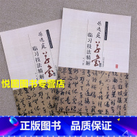 [正版]孙过庭草书临习技法精解 历代名家碑帖 全2册 孙过庭书谱 孙过庭书法入门教程 书法爱好者入门书籍 毛笔书法临摹字