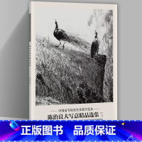 [正版]陈治良大写意精品选集 中国高等院校美术教学范本 陈治良画集 写意画作品集册页8开收录20幅图临摹学习研究范本 四