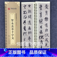 智永真草千字文 [正版]华夏万卷毛笔近距离临摹字卡墨迹字帖灵飞经临帖卡赵孟頫行书洛神赋小楷道德经欧阳询楷书九成宫王羲之行