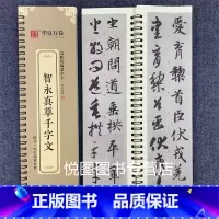 智永真草千字文 [正版]华夏万卷毛笔近距离临摹字卡墨迹字帖灵飞经临帖卡赵孟頫行书洛神赋小楷道德经欧阳询楷书九成宫王羲之行