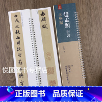 [正版]赵孟頫行书赤壁赋 原碑原帖 赵体赵孟俯行书毛笔字帖书法临摹繁体旁注 弘藴轩编 碑帖近距离临帖摹字练习卡册页卡