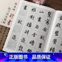 [正版]赵孟頫行书临习技法精解 历代名家碑帖 后赤壁赋 千字文赵体书法入门教程书法爱好者入门书籍 毛笔书法临摹字帖