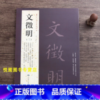 [正版]文征明三历代名家书法经典文征明书法作品集繁体旁注文徵明醉翁亭记前后赤壁赋岳阳楼记文徵明离骚经九歌卷南山十咏千字文