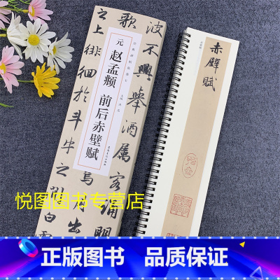 [正版]元赵孟頫前后赤壁赋 近距离经典碑帖临摹卡全2册 赵孟俯行书字帖原碑帖 洪亮主编附简体旁注赵体行书法字卡全文无删减