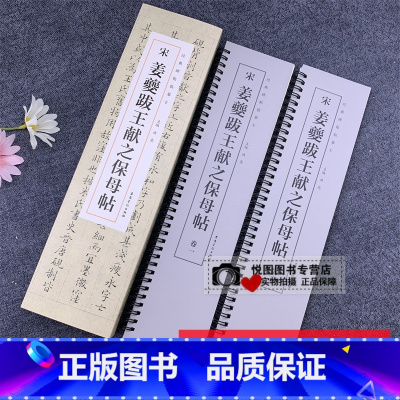 [正版]宋姜夔跋王献之保母帖 经典碑帖临摹卡 全2册 洪亮主编 附简体旁注 楷书碑帖近距离临摹字卡毛笔书法练字帖 安徽美