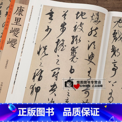 [正版]历代名家书法珍品 康里巎巎草书张旭笔法卷 草书谪龙说卷 康里巎巎行草毛笔书法字帖临摹 许裕长编中州古籍