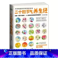 [正版] 二十四节气养生经 图文并茂养生保健书籍中医养生入门书籍通俗易懂顺应天时调整身心打造健康体魄
