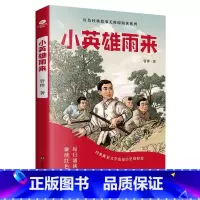小英雄雨来 [正版]少年励志红色经典故事书 雷锋的故事闪闪的红星小英雄雨来雷锋日记可爱的中国 小学生革命传统教育读本三四