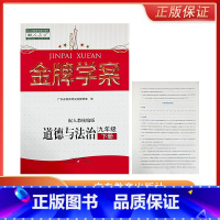 思想政治 九年级下 [正版]配人教统编版九年级下册道德与法治金牌学案 政治同步练习册广东教育出版社初中初三39九年级下册