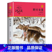 野犬女皇 [正版]沈石溪动物小说品藏书系列全集36册 斑羚飞渡第七条猎狗后一头战象雪豹悲歌珍藏版全套画本生肖