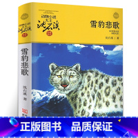 雪豹悲歌 [正版]沈石溪动物小说品藏书系列全集36册 斑羚飞渡第七条猎狗后一头战象雪豹悲歌珍藏版全套画本生肖