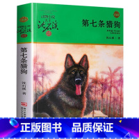 第七条猎狗 [正版]沈石溪动物小说品藏书系列全集36册 斑羚飞渡第七条猎狗后一头战象雪豹悲歌珍藏版全套画本生肖