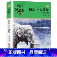 最后一头战象 [正版]沈石溪动物小说品藏书系列全集36册 斑羚飞渡第七条猎狗后一头战象雪豹悲歌珍藏版全套画本生肖