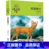 双面猎犬 [正版]沈石溪动物小说品藏书系列全集36册 斑羚飞渡第七条猎狗后一头战象雪豹悲歌珍藏版全套画本生肖