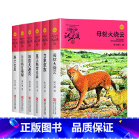 [红色]套装共6册 [正版]套餐6册任选沈石溪动物小说品藏书系列 全套36册 狼王梦斑羚飞渡经典三四五六年级小学生经典畅