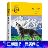 狼王梦 [正版]沈石溪动物小说品藏书系列全集36册 斑羚飞渡第七条猎狗后一头战象雪豹悲歌珍藏版全套画本生肖