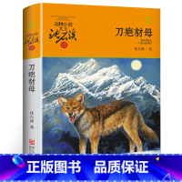 刀疤豺母 [正版]沈石溪动物小说品藏书系列全集36册 斑羚飞渡第七条猎狗后一头战象雪豹悲歌珍藏版全套画本生肖