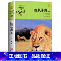 红飘带狮王 [正版]沈石溪动物小说品藏书系列全集36册 斑羚飞渡第七条猎狗后一头战象雪豹悲歌珍藏版全套画本生肖