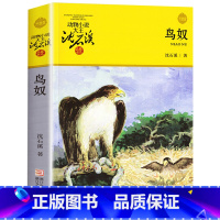 鸟奴 [正版]沈石溪动物小说品藏书系列全集36册 斑羚飞渡第七条猎狗后一头战象雪豹悲歌珍藏版全套画本生肖