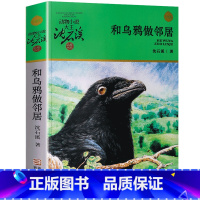 和乌鸦做邻居 [正版]沈石溪动物小说品藏书系列全集36册 斑羚飞渡第七条猎狗后一头战象雪豹悲歌珍藏版全套画本生肖