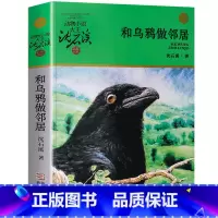 和乌鸦做邻居 [正版]沈石溪动物小说品藏书系列全集36册 斑羚飞渡第七条猎狗后一头战象雪豹悲歌珍藏版全套画本生肖