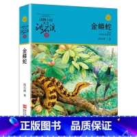 金蟒蛇 [正版]沈石溪动物小说品藏书系列全集36册 斑羚飞渡第七条猎狗后一头战象雪豹悲歌珍藏版全套画本生肖