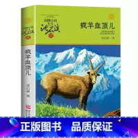 疯羊血顶儿 [正版]沈石溪动物小说品藏书系列全集36册 斑羚飞渡第七条猎狗后一头战象雪豹悲歌珍藏版全套画本生肖