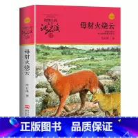母豺火烧云 [正版]沈石溪动物小说品藏书系列全集36册 斑羚飞渡第七条猎狗后一头战象雪豹悲歌珍藏版全套画本生肖