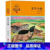 五只小狼 [正版]沈石溪动物小说品藏书系列全集36册 斑羚飞渡第七条猎狗后一头战象雪豹悲歌珍藏版全套画本生肖