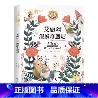 爱丽丝漫游奇境[彩图注音版] [正版]国际大奖儿童文学小说美绘典藏版原著完整版青少年版经典名著故事书小学生三四五六年级课