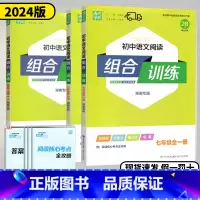 英语阅读组合训练❤湖南版 九年级/初中三年级 [正版]湖南2024新版通城学典初中语文阅读组合训练七年级八年级九年级语文