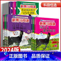 2本套装)现代文+古诗文课外阅读 九年级/初中三年级 [正版]2024版 新黑马阅读初中七八九年级语文古诗文现代文课外阅