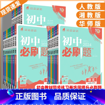 数学人教版 九年级下 [正版]湖南2024新版初中必刷题七年级八年级九年级上册数学语文英语物理化学历史地理道德与法治初初