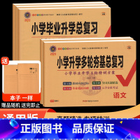 小学毕业升学总复习 语文+数学共2本 小学升初中 [正版]2023版 神龙牛皮卷小学毕业升学总复习语文数学英语 通用版