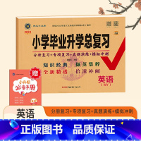 英语[小学毕业升学总复习]外研版 小学升初中 [正版]2024版小升初小学毕业升学总复习英语外研版六年级英语分册专项练习