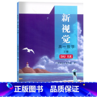 数学 必修第二册 [正版]2022版 新视觉 数学 必修二 高一下册 课时作业+答案 上海必修2高1第二学期数学专项提升