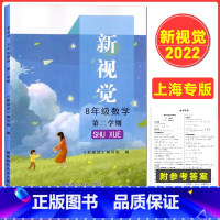 [正版]2022上海版 新视觉八年级下册 数学 含参考答案 8年级下册第二学期 上海初中数学沪教版辅导用书 湖南师范大学