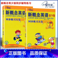 [套装2本]入门级 A+B 同步练全 小学通用 [正版]子金传媒新概念英语青少版同步练全入门级A+B测试卷阶段巩