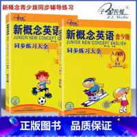 [套装2本]入门级 A+B 同步练全 小学通用 [正版]子金传媒新概念英语青少版同步练全入门级A+B测试卷阶段巩